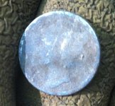 IMG_9673.jpg