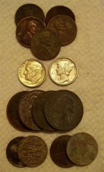 Nov 7 backyard finds  pic.JPG
