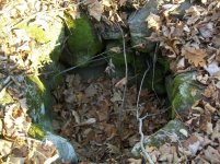 101_4502.jpg