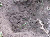 12 14 2013 finds 002.jpg