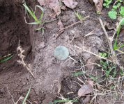 12 14 2013 finds 003.jpg