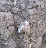 100_1402.jpg