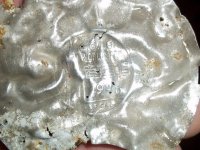 100_1421.jpg