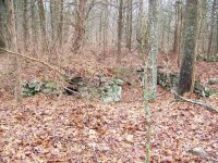 half reale site 1.JPG