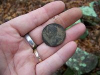 First copper of 2014 1.JPG