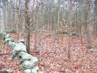 walls and woods 1.JPG