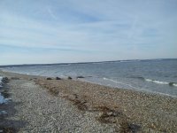 beach3.jpg