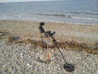 beach6.jpg