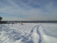 beach11.jpg