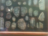 fossils 002.jpg