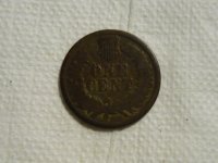 first Indian head 2014 005.jpg