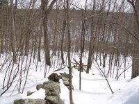 snowy hunt 1.JPG