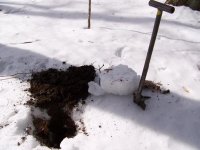snowy plug.JPG