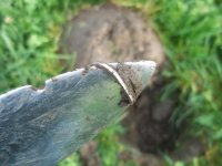 100_1617.jpg