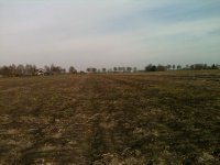 IMG-20140308-WA0013.jpg