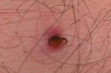 IMAG0799_1.jpg