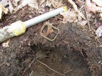 shoe buckle out of the dirt.JPG