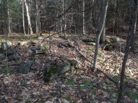 DSCF1170.jpg