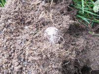 100_1718.jpg