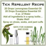 tick spray.jpg