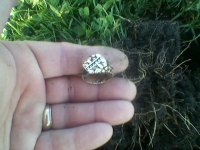 Nugget ring 2.jpg