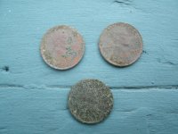 4-29-14  Merc, buff, wheats 005.jpg