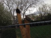 IMG_0198.jpg