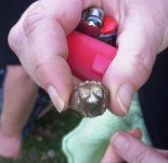 Lees Ring.jpg