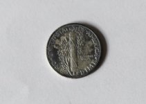cpins two-7.JPG