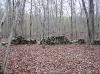 IMG_0587.jpg