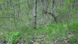 may11.a.jpg
