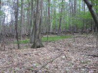 IMG_0623.jpg