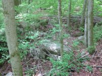 IMG_0664.jpg