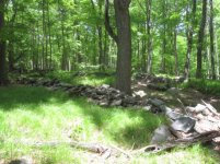 IMG_0702.jpg
