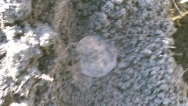 20140527_184341.jpg