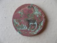 Buffalo_0001.jpg