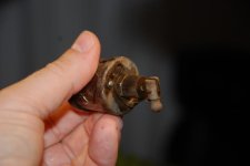 DSC_0255.jpg