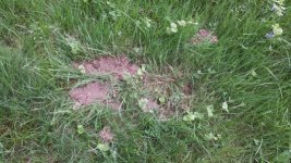 20140528_165745 bad plug.jpg