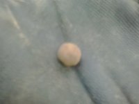 small shot.jpg