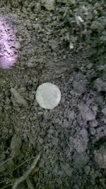 IMAG0010 - Copy.jpg
