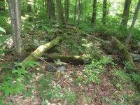 DSCF1324.jpg