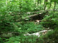 DSCF1316.jpg