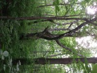 DSCF1321.jpg