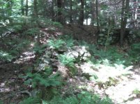 IMG_0934.jpg