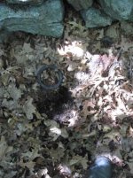 IMG_0956.jpg