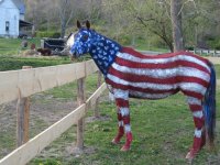 patriotic horse.jpg
