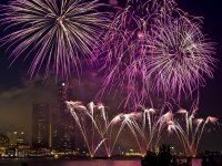 fireworks 3.jpg