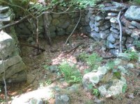 IMG_1005.jpg
