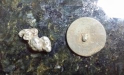 Button, meal 7-12.jpg