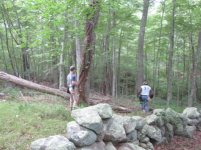 IMG_1110.jpg